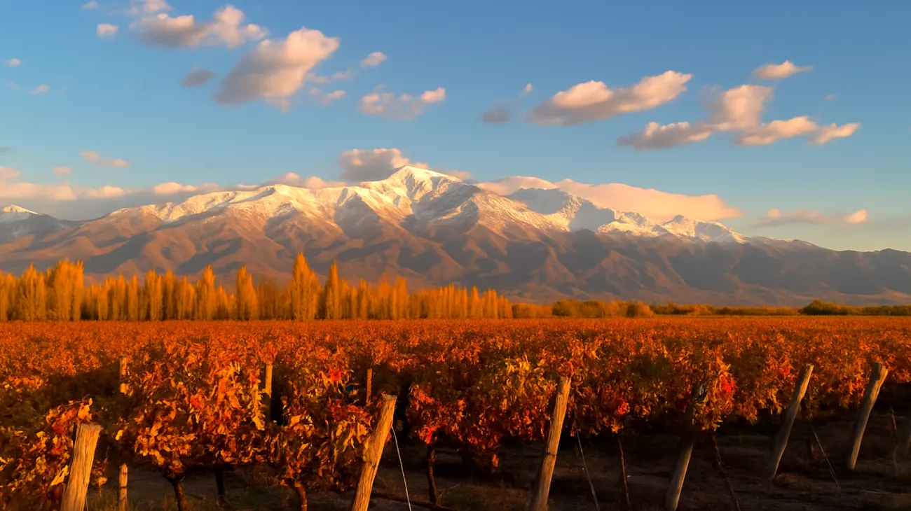 Mendoza"